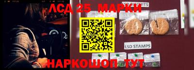 apvp Кингисепп