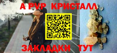 apvp Кингисепп